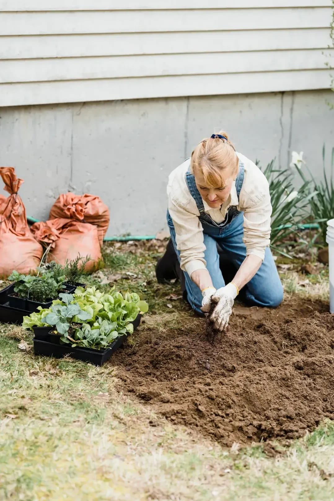 Choosing the Right Plants for Low-Maintenance Landscaping