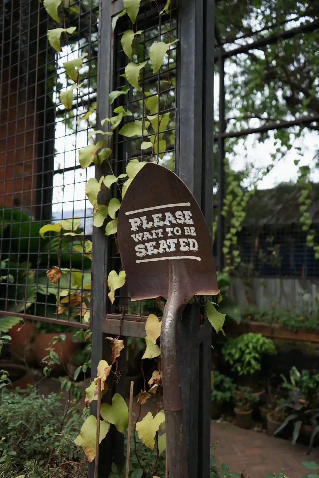 Maple Grove Gardens 10