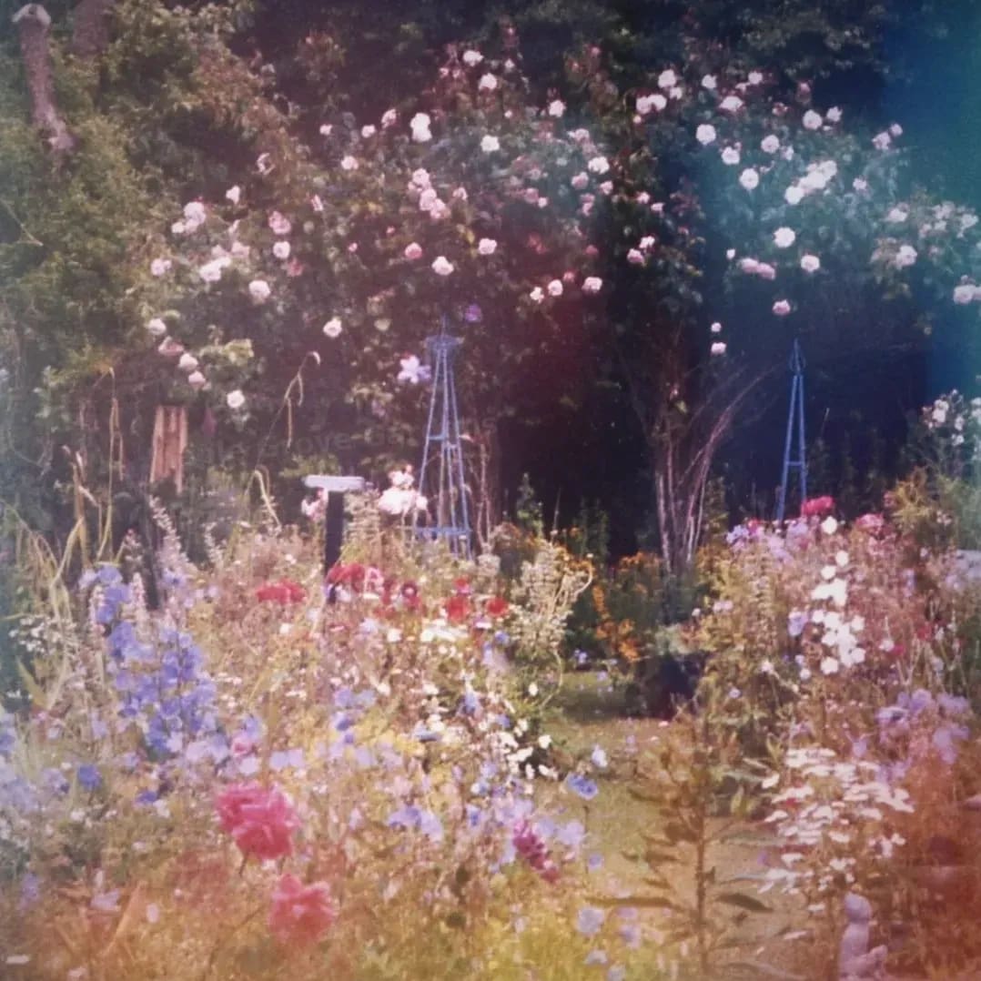 Maple Grove Gardens 3