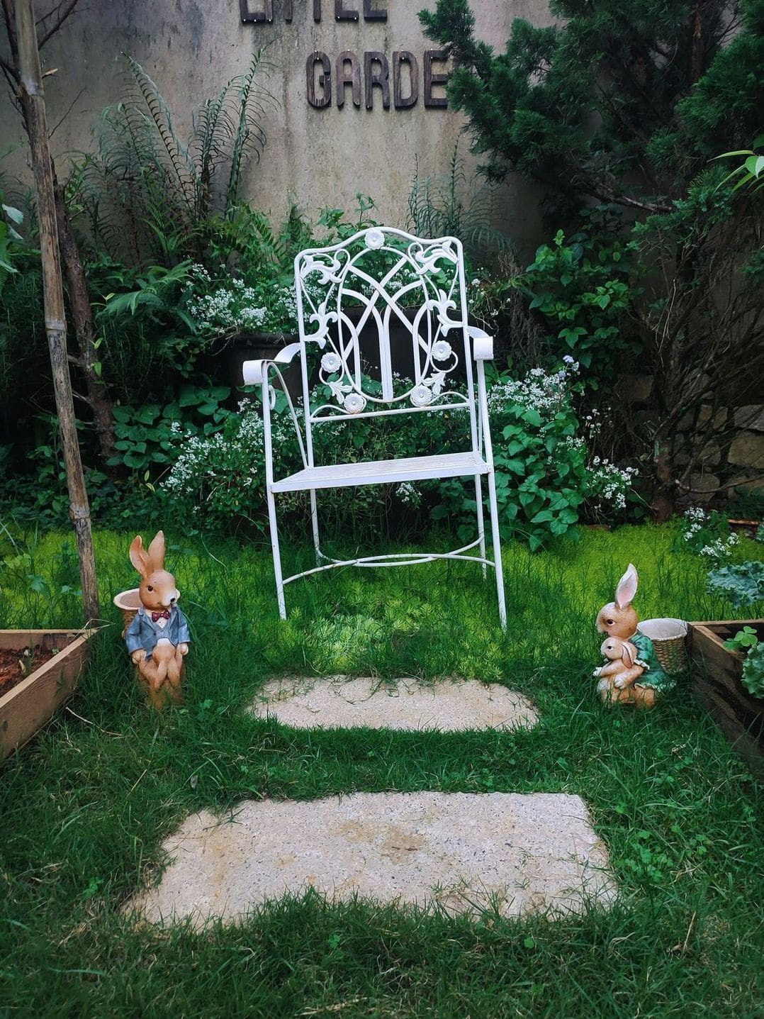 Garden design and planting plans